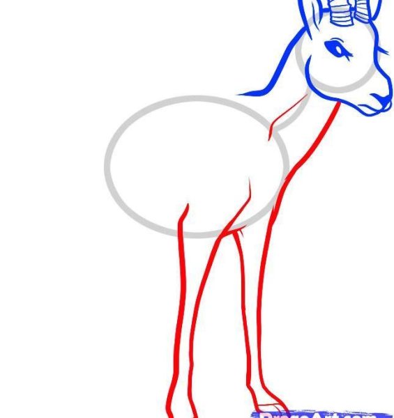 Газель поэтапное рисование детям