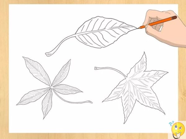 Последовательное рисование листьев