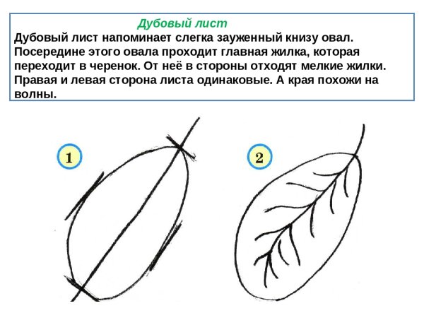 Нарисованный листочек 1 класс