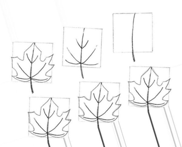 Виноградный лист рисунок карандашом