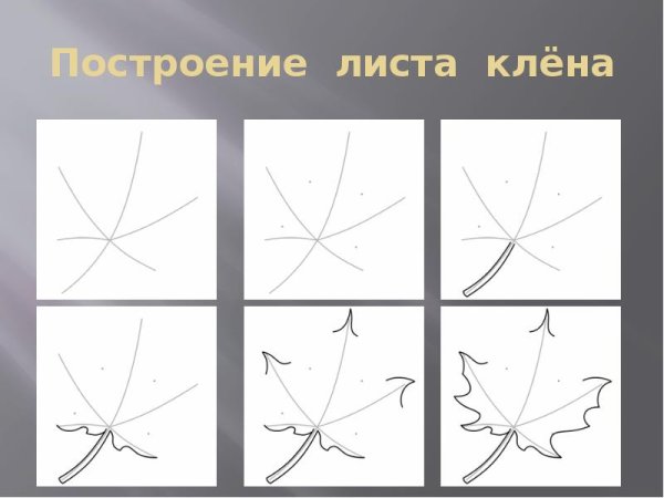 Поэтапное рисование листа