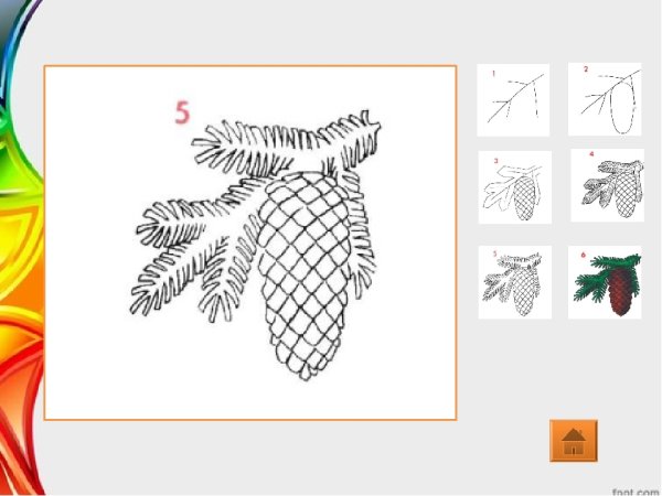 Поэтапное рисование шишки