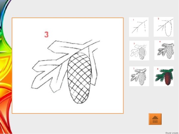 Поэтапный рисунок шишки
