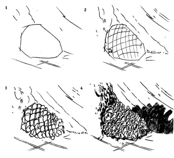 Поэтапное рисование шишки