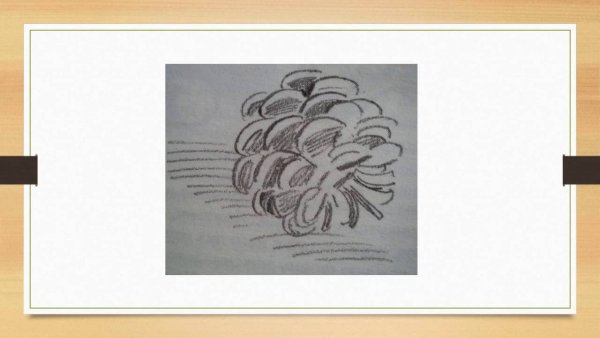 Мастер класс рисунок шишки пошагово