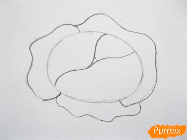 Поэтапное рисование гномика