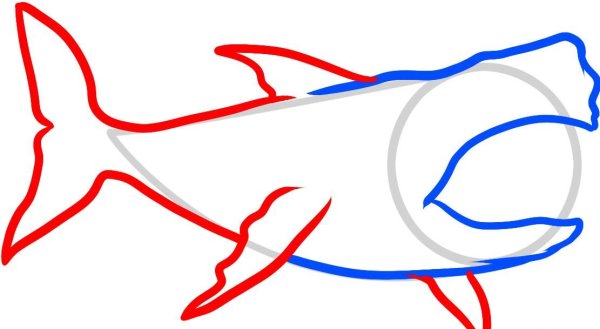 Арбуз эскиз