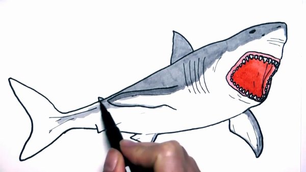 Рисование Арбуз