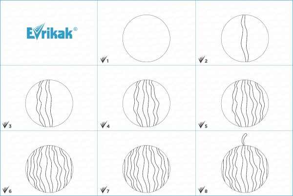 Поэтапное рисование арбуза