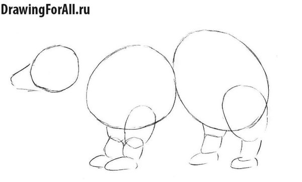 Барсук поэтапное рисование