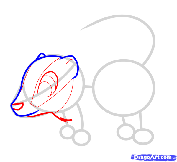 Поэтапное рисование барсука для детей