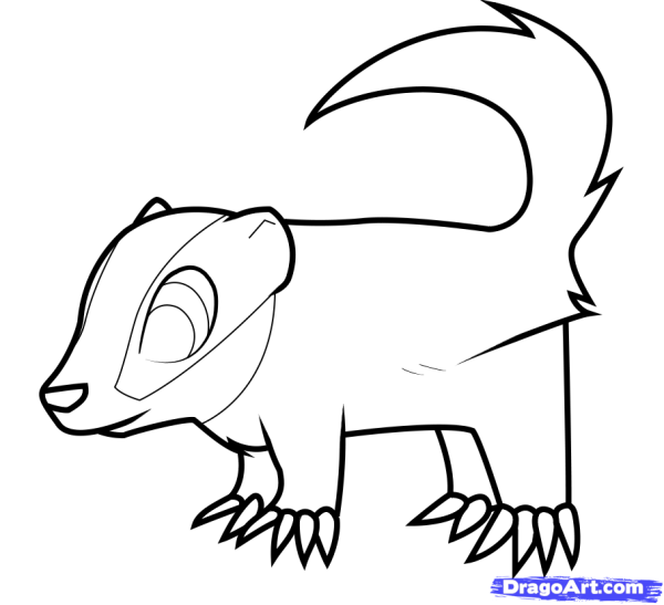 Барсук поэтапное рисование