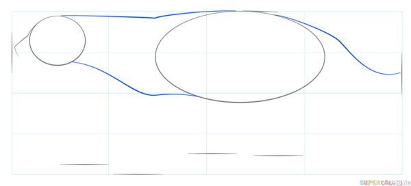 Барсук рисунок легкий