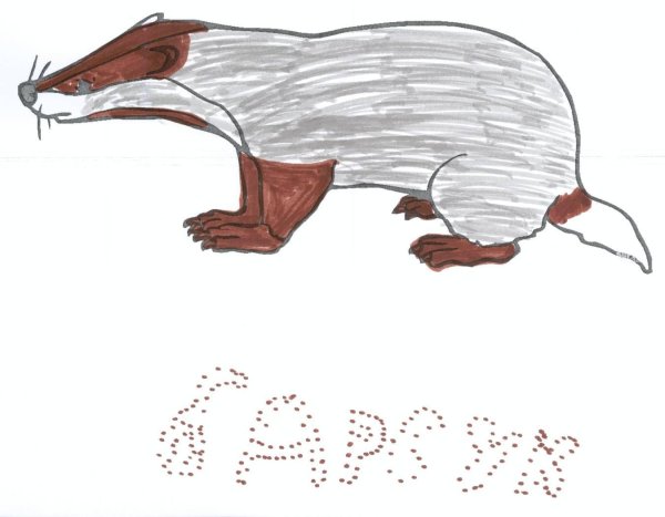 Барсук поэтапное рисование