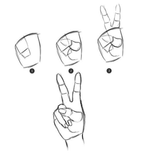 Кисти рук карандашом для начинающих