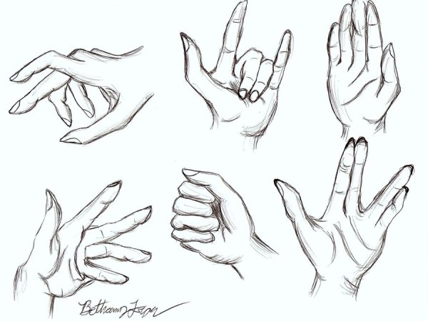 Поэтапное рисование рук для начинающих