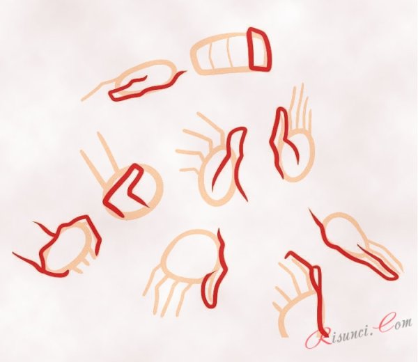 Покадровая анимация движения рук