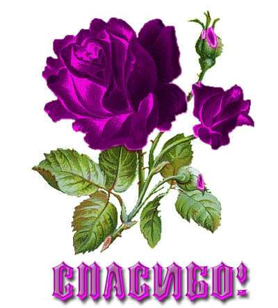 Спасибо на прозрачном фоне