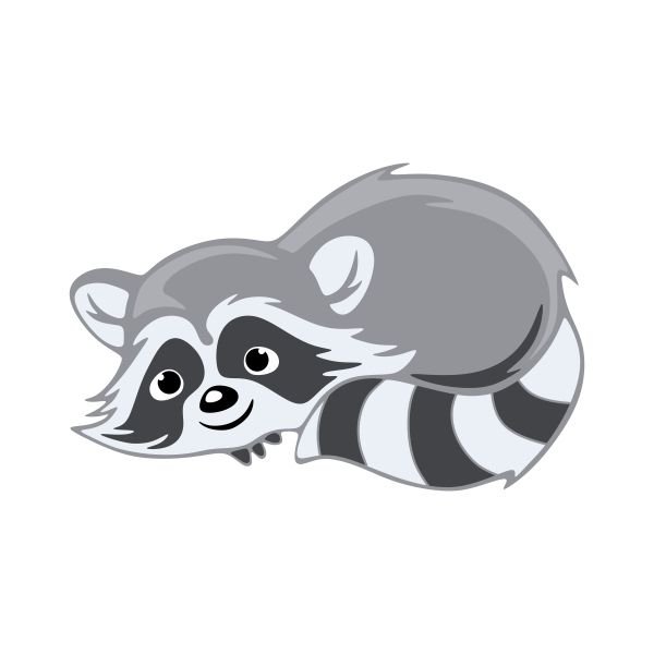 Мультяшные еноты