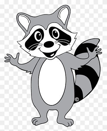 Енот клипарт на прозрачном фоне