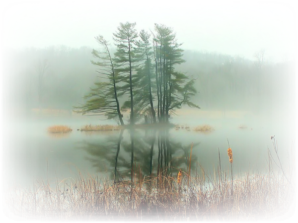 Пейзажи с размытыми краями