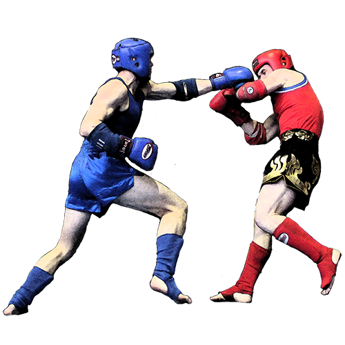 Кикбоксинг без фона