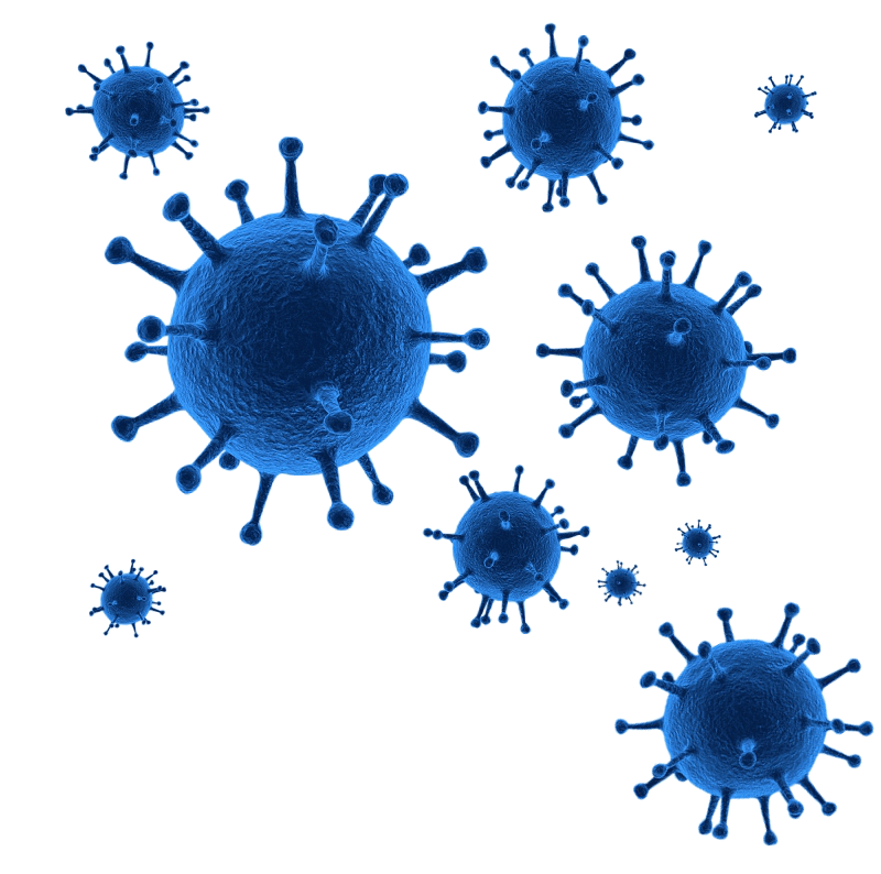 Ковид бактерия. Вирус коронавирус ковид-19. Бактерия ковид 19. Вирус ковид19 PNG.