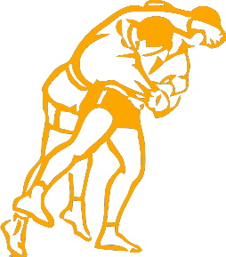 Боевое самбо наклейки