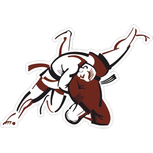 Самбо векторное изображение