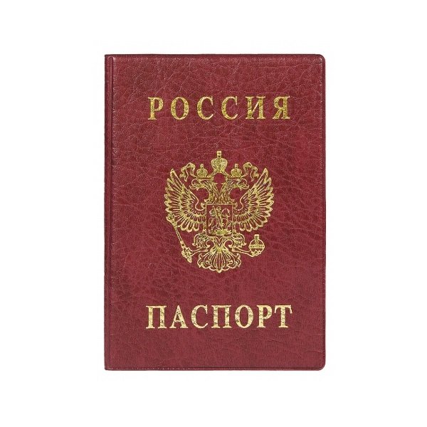 Паспорт пиктограмма