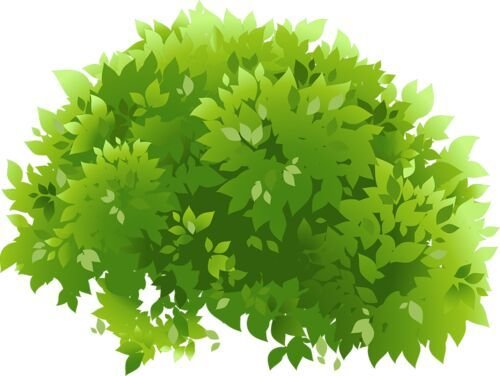 Куст вектор