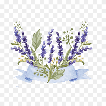 Лаванда акварель
