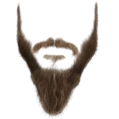 Мужчина с бородой вектор