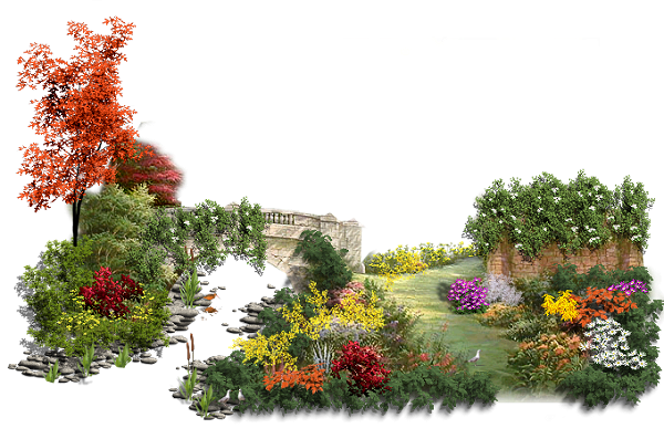 Сало на прозрачном фоне