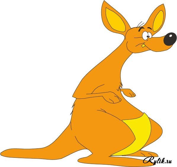 Кенгуру cartoon