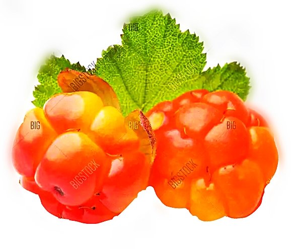 Морошка на белом фоне