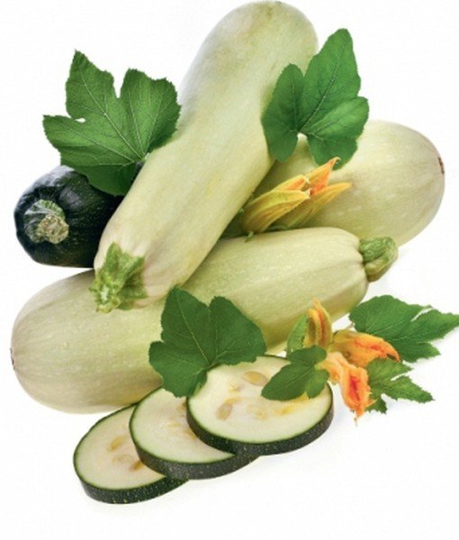 Кабачок на белом фоне