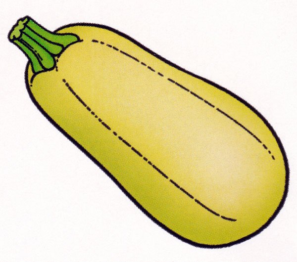 Кабачок мультяшная