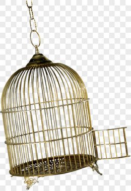 Птичья клетка круглая для фотошопа