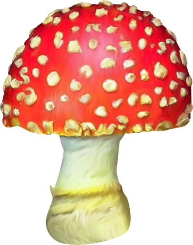 Мухомор для детей