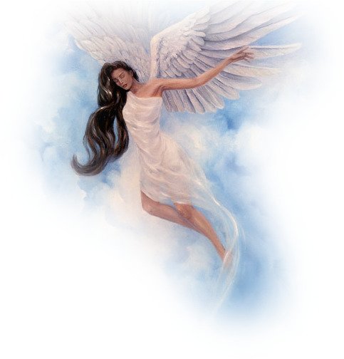 Ангелы летают на прозрачном фоне