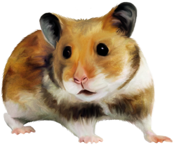 Хомяк вектор