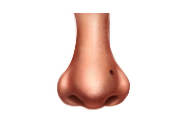 Нос картинка