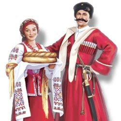 Каваки на белом фоне