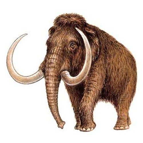 Мамонт значок