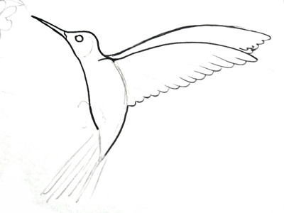 Колибри поэтапное рисование