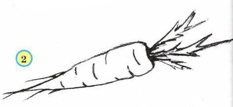 Поэтапное рисование моркови для детей