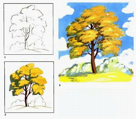 Дерево для рисования