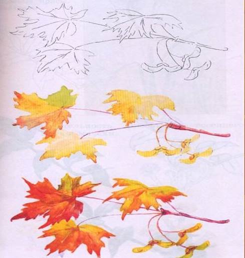 Поэтапное рисование осени