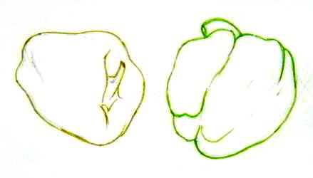 Рисунок перца пошагово